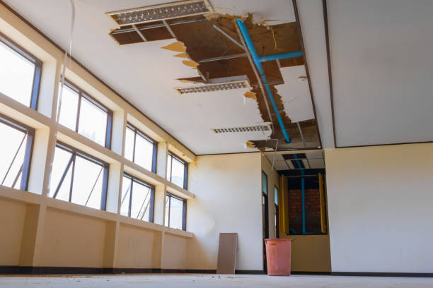 Water damage restoration insurance claims in Madisonville, TX