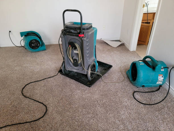 Best 24/7 water damage repair  in Madisonville, TX