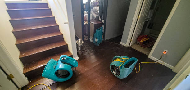 Madisonville, TX Water damage restoration Company