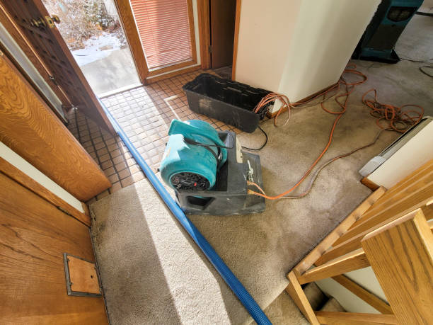 Best Water damage restoration near me  in Madisonville, TX