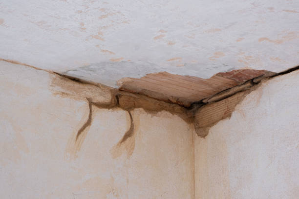 Best Local water damage restoration  in Madisonville, TX