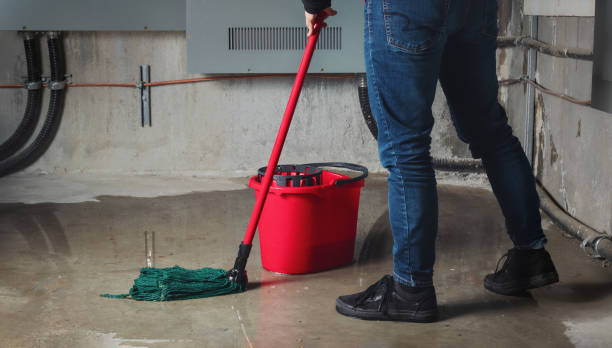 Best Fire Damage Restoration  in Madisonville, TX