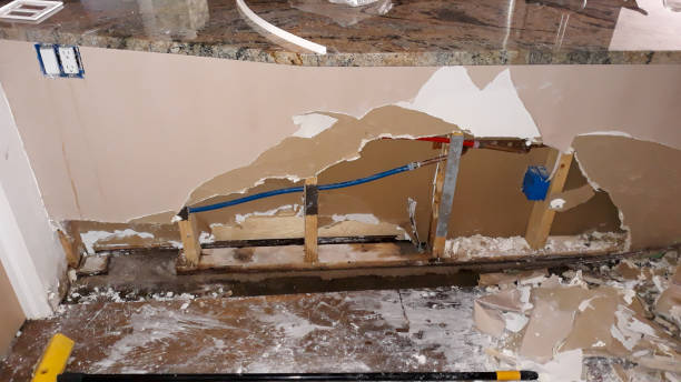Best Fire Damage Restoration  in Madisonville, TX