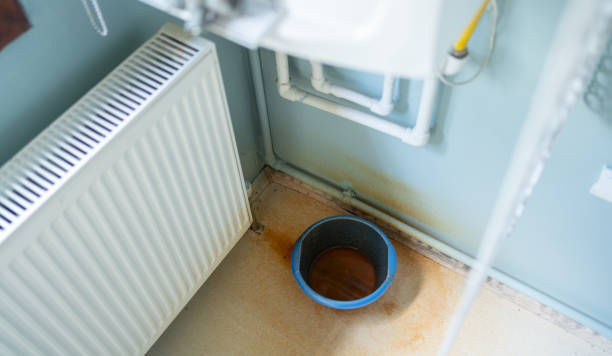 Best Mold removal after water damage  in Madisonville, TX