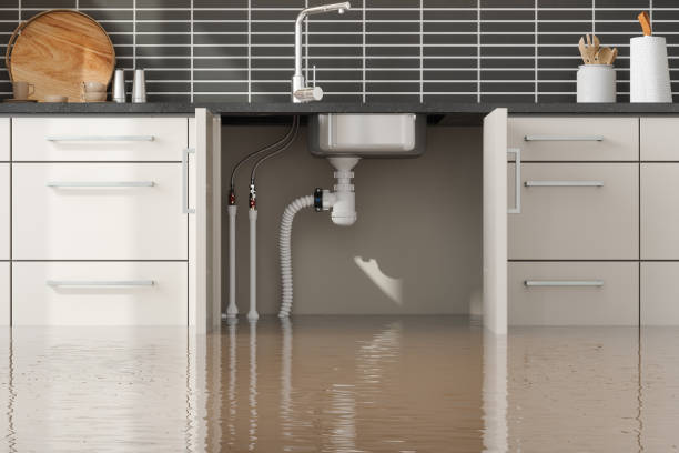 Best Water damage cleanup near me  in Madisonville, TX