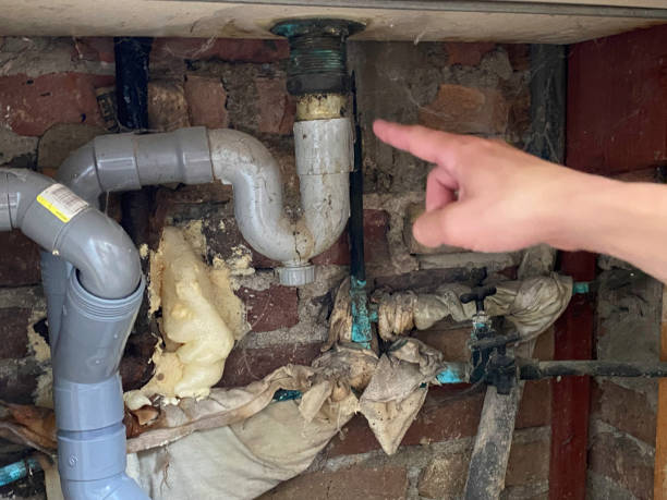 Best Water damage cleanup near me  in Madisonville, TX