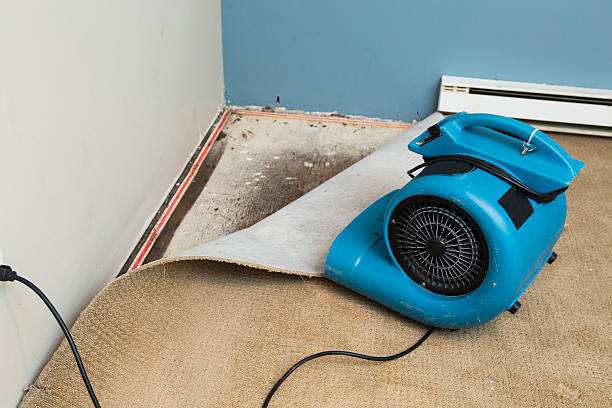 Best Basement water damage restoration  in Madisonville, TX